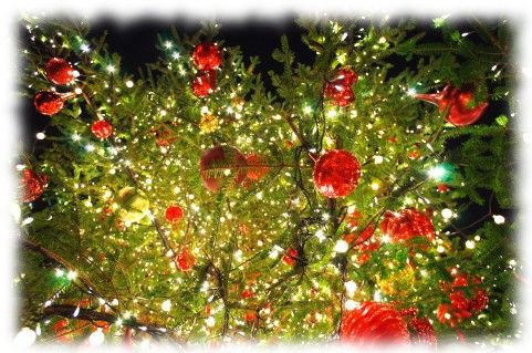 クリスマスシーズン