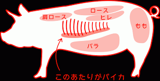 (；´・ω・｀)（なんか熱い視線を感じる）　　←(・ω・｀)