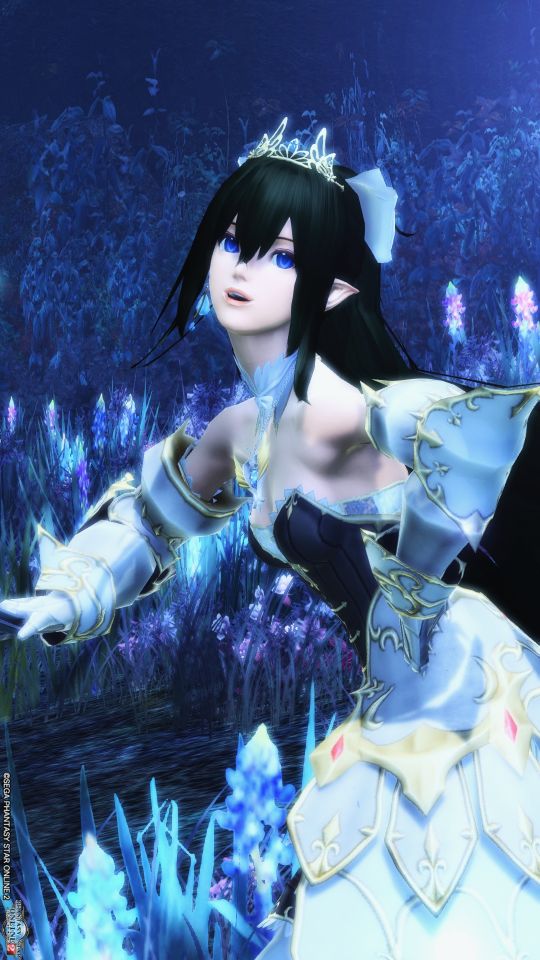 幻惑の森、今週で終わっちゃうのかぁ…　久しぶりにペタリ