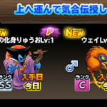 １個投げて鈴ｘ１２回。デンガーが４体目になってうれしい！　ドルマゲスとりゅうおう、どう使おう・・・