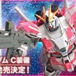 しゃけの切身みたいなの、どうにかならなかったの？