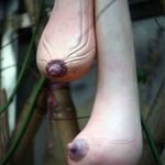 マスクルポ　南米ジャングルの湿地帯で生息する植物。フルーティーな味と裏腹に強い中毒性があり、食べ続けたものはやがて壊れ機体以外のすべてに強い拒絶反応を示すといわれている。古代アステカ文明ではハゲの神にささげる植物「オッパイ」と呼ばれ重宝されていた