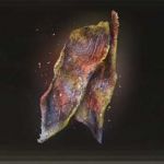 斑色の干し肉