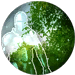 Forest_Concealment