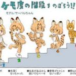 葉1に高レベルケモナーの疑いが・・さては貴様モン娘とか好きだろう