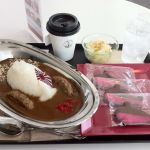 鉄のくじら館で1日何食か限定のカレーとクッキー