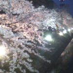 チンドンコンクールの帰りに夜桜撮ってきたよ。