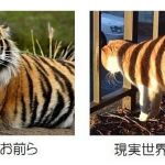 つまりこれか。見栄はるとろくなことないな