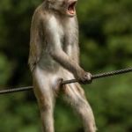 わてはkikになってからもうこういう状態が続いてるんやみんなもそうやろ