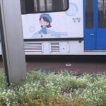 あんしん財団の電車撮ったので載せとく。