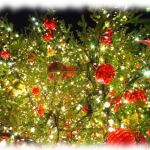 クリスマスシーズン