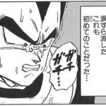 (´・ω・`)