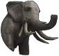 エレファント