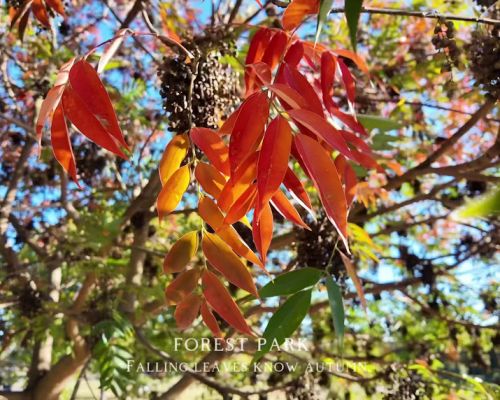 //uploader.swiki.jp/attachment/uploader/attachment_hash/50a4f458947b14502337f68176af877855687373