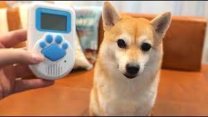 //uploader.swiki.jp/attachment/uploader/attachment_hash/5327565bc29d71fe5f98b1b03f0080ebbdca2bf2