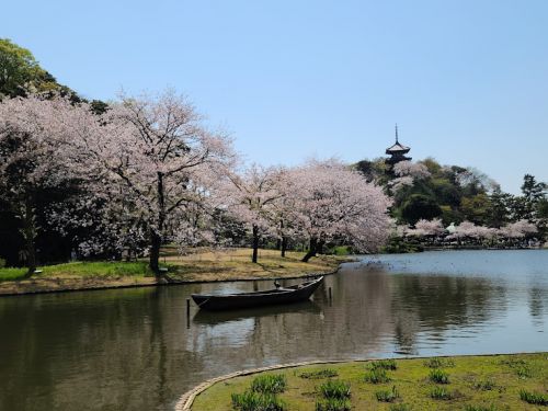 //uploader.swiki.jp/attachment/uploader/attachment_hash/6f819ffcabd05a2dc7ad937f1a058551cec13a81