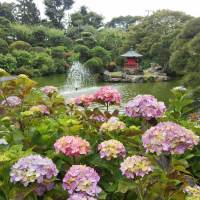 //uploader.swiki.jp/attachment/uploader/attachment_hash/71ec8cd7e0741360100122556d917c13cd8c3da1
