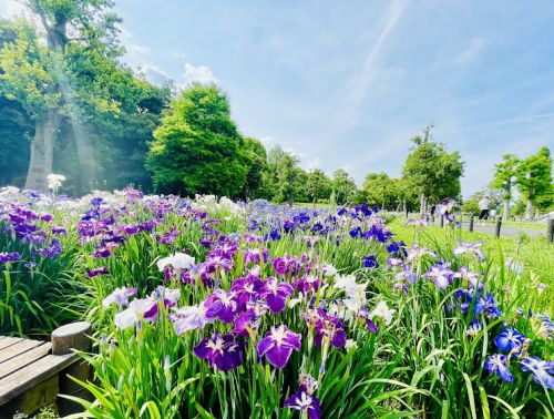 //uploader.swiki.jp/attachment/uploader/attachment_hash/7608f2060600d0371c41bbefa897ea837c02c50b