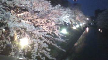 //uploader.swiki.jp/attachment/uploader/attachment_hash/9fc80e6ff33750da367dc6f64482fa328fae82fc