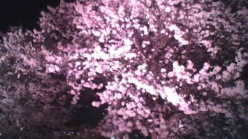 //uploader.swiki.jp/attachment/uploader/attachment_hash/dd245d8871f73e5295c1b0741169c44d5d65ce43